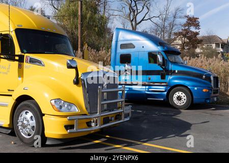 Nouvelles cabines de camion dans un dépôt de camions Banque D'Images