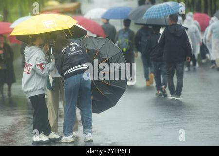 HANGZHOU, CHINE - 1er NOVEMBRE 2024 - les touristes bravent les vents violents et les fortes pluies apportées par le typhon Kong-Rey sur le pont brisé du lac de l'Ouest à Hangz Banque D'Images