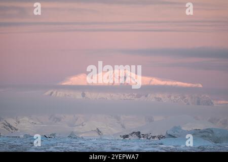 Rose belle aube en Antarctique. Banque D'Images