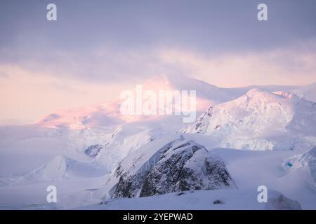 Rose belle aube en Antarctique. Banque D'Images