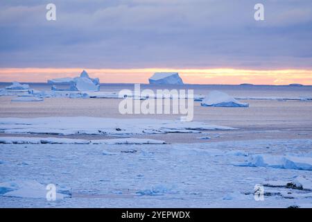 Rose belle aube en Antarctique. Banque D'Images