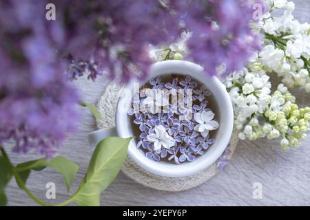 Thé noir savoureux dans une tasse blanche sur le rebord de la fenêtre avec des fleurs de lilas aromatiques. Composition de printemps tasse de thé lilas boire recette de fleurs branches de pourpre Banque D'Images