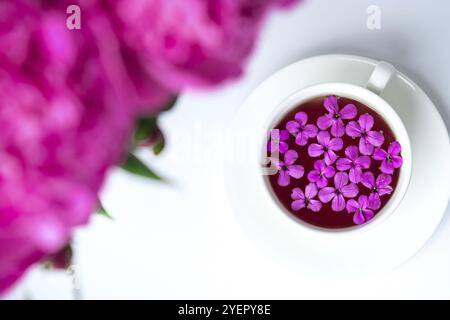 Aménagement créatif avec fleurs de pivoines roses et une tasse de thé sur une table lumineuse. Printemps saison Valentin, femme, mère, 8 mars vacances, petit déjeuner romantique Banque D'Images