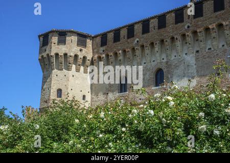 Vue partielle du château médiéval de Gradara, Marches, Italie, Europe Banque D'Images