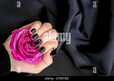Manucure ongles noirs tenir fleur rose sur tissu de soie noire. Faible nature de la pose plate. Main femelle. Idée créative. Soins personnels Banque D'Images