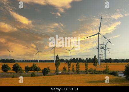 Éolienne sur champ jaune herbeux contre ciel bleu nuageux dans la zone rurale pendant le coucher du soleil. Parc éolien offshore avec des nuages orageux dans les terres agricoles en Pologne Banque D'Images