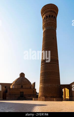 Vue sur le minaret de Kalyan construit 1127, dans le Saint Boukhara. Mosquée Kalyan, composant POI-Kalyan ensemble est la mosquée centrale de Saint Boukhara. Ouzbékistan Banque D'Images