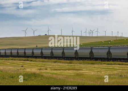 Rangée de wagons métalliques d'un train de marchandises canadien circulant entre des champs verts dans la campagne. Éoliennes en arrière-plan Banque D'Images