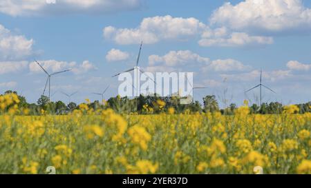 Éolienne sur champ jaune herbeux contre ciel bleu nuageux dans la zone rurale pendant le coucher du soleil. Parc éolien offshore avec des nuages orageux dans les terres agricoles en Pologne Banque D'Images