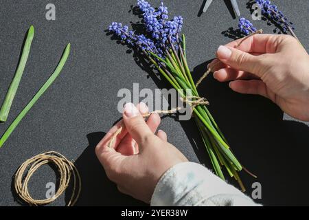 Les mains des femmes collectent un bouquet de muscari bleu en cadeau. Élagage de fleurs. Florist, petite entreprise locale, fleuriste. Style écologique. Fleuriste au travail Banque D'Images