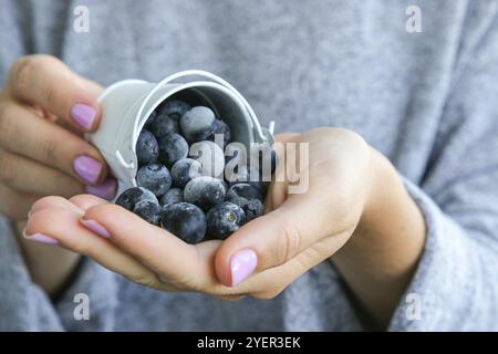 Femme tenant un seau en métal avec des bleuets congelés. Concept de récolte. Les mains des femmes collectent les baies. Concept de saine alimentation. Faire le plein de berr Banque D'Images