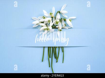 Texte de la carte de vœux HELLO SPRING lettering with Snowdrop flowers. Fleurs du printemps. Printemps. Bouquet frais. Message Banque D'Images