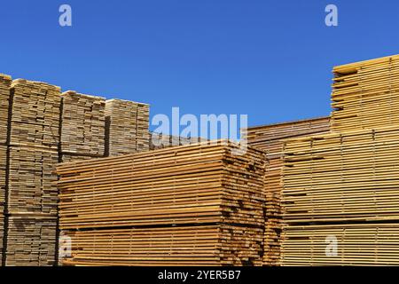 Des palettes de planches de pin traitées sont stockées dans une cour de marchands de constructeurs. Poutres et planches en bois sous un ciel bleu avec espace de copie Banque D'Images