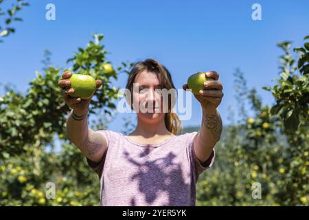 Angle bas et vue de mise au point sélective de deux pommes vertes mûres et fraîches tenues par une femme caucasienne heureuse avec des bras tatoués, fond d'arbres de verger Banque D'Images