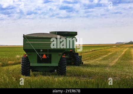 Une moissonneuse-batteuse et le tracteur remorque sont vus de dos, garé dans un champ cultivé pendant la saison des récoltes, la collecte et le transport des récoltes Banque D'Images
