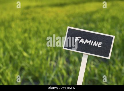 Panneau d'étiquette d'information en bois avec texte FAMINE contre le message de champ d'agriculture défoqué. Faim dans le monde, inflation, prix élevés, crise du blé incréa Banque D'Images