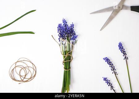 Les mains des femmes collectent un bouquet de muscari bleu en cadeau. Élagage de fleurs. Florist, petite entreprise locale, fleuriste. Style écologique. Fleuriste au travail Banque D'Images