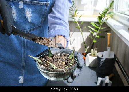 Gros plan de la femelle mains transplanter succulent. Concept de jardin à la maison. Outils de jardinage. Lieu de travail du jardinier. Masse dans un godet. Prendre soin de planifier Banque D'Images