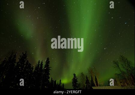 Canada / Aurora Borealis à Yellowknife Banque D'Images