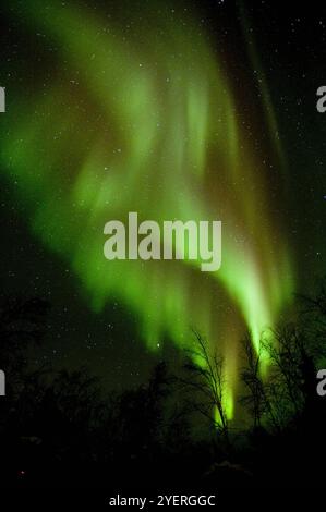 Canada / Aurora Borealis à Yellowknife Banque D'Images