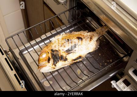 Vivaneau à cuire sur une cuisinière à gaz Banque D'Images