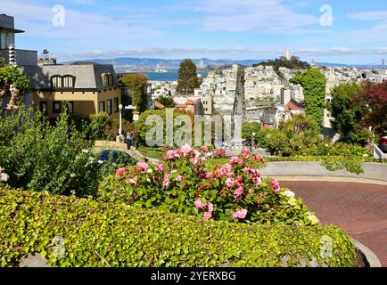 Connu comme la rue la plus tordue dans la section du monde de Lombard Street avec huit virages en épingle à cheveux d'une voiture descendant San Francisco Californie USA Banque D'Images