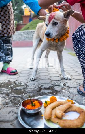 Katmandou, Népal - 15 mars 2016 : les mains des femmes ornent le chien de guirlandes de fleurs et de poudre rouge pour le festival Tihar au Népal Banque D'Images