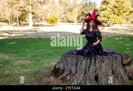 Une femme sorcière portant une longue robe noire et un chapeau de sorcière est assise dans les bois du parc à l'abri du soleil rude d'automne, en Écosse Banque D'Images