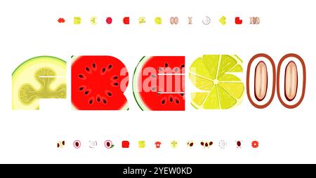 Alphabet de fruits ludique, lettres organiques juteuses, police comestible fraîche pour les emballages pour enfants, titre savoureux, typographie inspirée du jardin, design nutritif Illustration de Vecteur