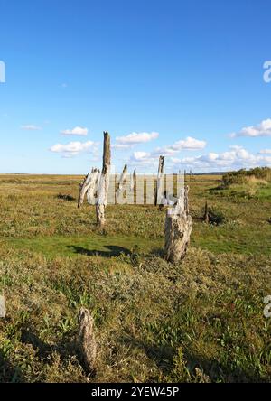 Les marais salants de Thornham, les postes et les mouillages de la côte nord du Norfolk Banque D'Images