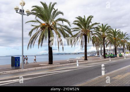 Palmiers le long de la Promenade des Anglais à côté de la côte méditerranéenne de Nice. Anges Bay, Nice France, Côte d'Azur, Sud de la France, Europe Banque D'Images