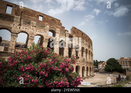 Amphithéâtre Colisée dans le centre de Rome Banque D'Images
