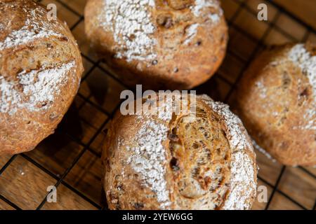 Petits pains de campagne de Vlassic sur un grill. Ces boules de rouleaux rustiques maison sont faites de farine de blé multigrain complète biologique pour un levain Banque D'Images