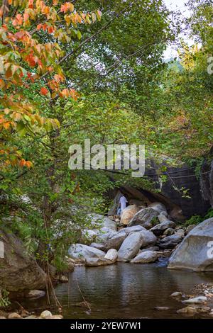 Scènes d'automne vibrantes de la vallée de Swat, avec des feuilles colorées, des arbres majestueux et un paysage montagneux serein. Banque D'Images