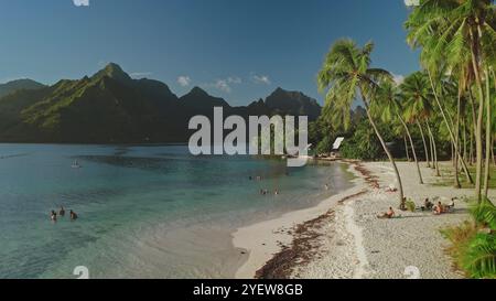 Des montagnes volcaniques verdoyantes rencontrent des eaux turquoises cristallines sur un littoral ensoleillé avec des touristes nageant, prenant un bain de soleil et du paddle board sur la plage tropicale de palmiers de Moorea, en Polynésie française Banque D'Images