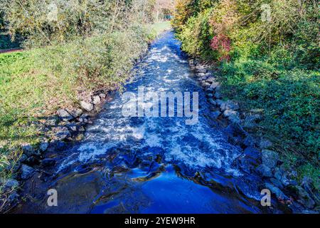 Ruisseau d'eau coulant sur les pierres de la rivière Wurm entre végétation sauvage, mousse sur la surface due aux turbulences du mouvement, réserve naturelle, journée ensoleillée Banque D'Images