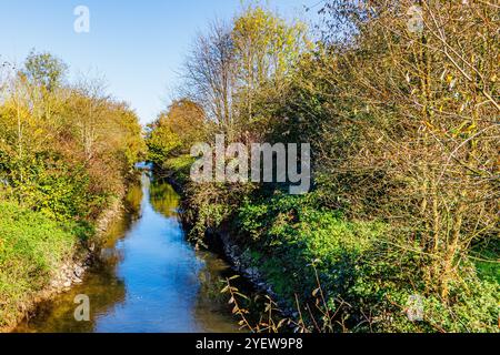 Paysage d'automne de la rivière Wurm parmi les arbres abondants et la végétation sauvage, l'eau calme et la réflexion sur la surface de l'eau, vue d'angle de dessus, journée ensoleillée avec cl Banque D'Images