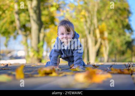 Un tout-petit joyeux dans une veste grise confortable est positionné sur un chemin en bois parsemé de feuilles d'automne vibrantes. Banque D'Images