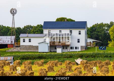 Amortisseurs de blé amish empilés pour séchage près d'une ferme dans le comté de Mecosta, Michigan, États-Unis [pas de communiqués ; licence éditoriale uniquement] Banque D'Images