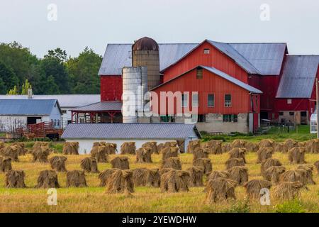 Amortisseurs de blé amish empilés près d'une grange dans le comté de Mecosta, Michigan, États-Unis [pas de communiqués ; licence éditoriale uniquement] Banque D'Images