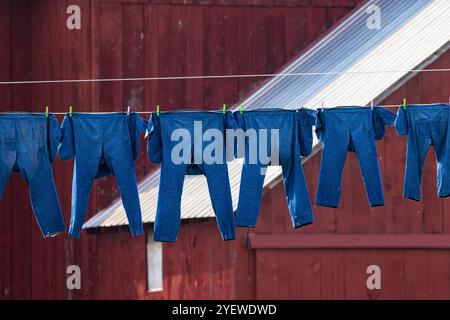 Jeans bleus séchant sur une ligne au soleil dans une ferme amish dans le comté de Mecosta, Michigan, États-Unis [aucune sortie ; licence éditoriale uniquement] Banque D'Images