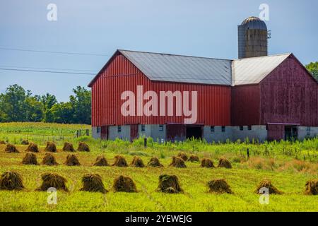 Amortisseurs de blé amish empilés près d'une grange dans le comté de Mecosta, Michigan, États-Unis [pas de communiqués ; licence éditoriale uniquement] Banque D'Images