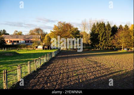 Jardin cultivé avec sol labouré et prairie à Sint Anna Pede, Brabant flamand, Belgique Banque D'Images