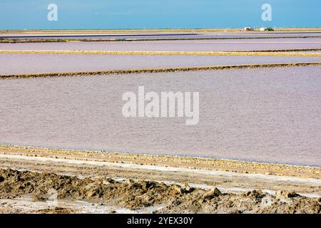 Dunes de sel, Aigues-Mortes, France Banque D'Images