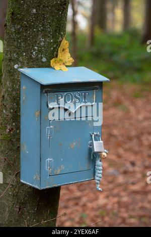 Une charmante boîte aux lettres bleue en métal montée sur un arbre dans une forêt, avec un cadenas attaché et une petite décoration crochetée. Un repos de feuilles d'automne jaune Banque D'Images