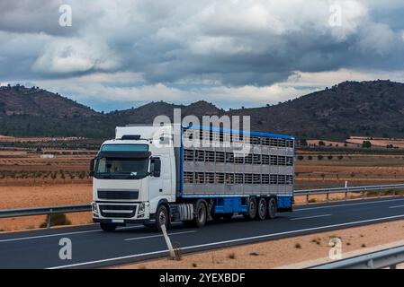 Camion avec semi-remorque à cage vide pour le transport de bétail, conduite sur autoroute. Banque D'Images