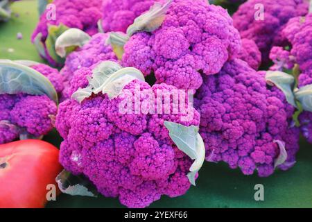 Chou-fleurs violets au marché fermier local Banque D'Images