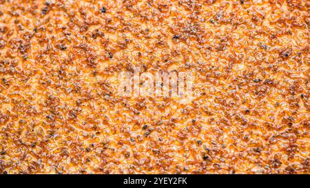 Extrême macro photographie de papier abrasif orange grain, mettant en évidence la texture abrasive et les particules individuelles, macro photographie et n'ont pas de genres Banque D'Images