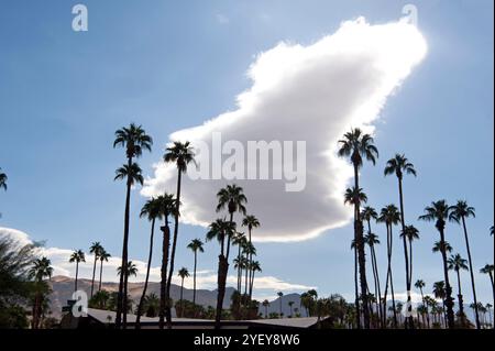 Palmiers, nuage, formation, inhabituel, collines, désert, Palm Springs, Californie, États-Unis, Amérique, américain, Banque D'Images