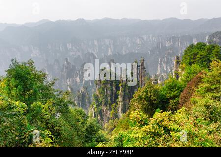 Vue imprenable sur les piliers de grès de quartz (Avatar Mountains) Banque D'Images